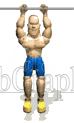 illustration - bodybuilderpullups-gif